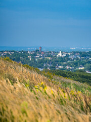 Poster - Sunny scenery of a grass hillside on Laziska Gorne's cityscape background in Poland