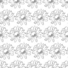 Poster - Lot of Vector daisies repeat pattern print background