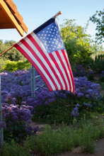 American Flag Blowing In The Wind With Purple Flowers