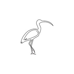 Wall Mural - Single continuous line drawing of elegant ibis bird for organisation logo identity. University mascot concept for education institution icon. Modern one line draw design vector graphic illustration