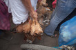 © Gary Parker/Stocksy - A woman carrying dead chickens at a market