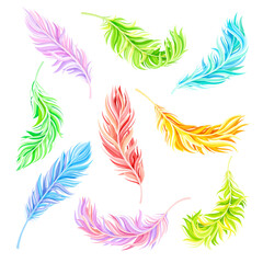  Colorful Bird Feathers as Avian Plumage Vector Set