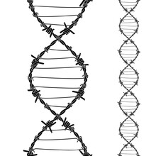 Barbed Wires Twisted And Tied Like A DNA Spiral. Replicable Tattoo Design With Editable Outlines.