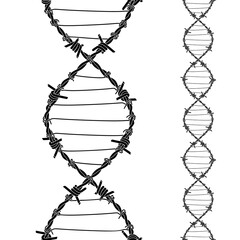 barbed wires twisted and tied like a dna spiral. replicable tattoo design with editable outlines.