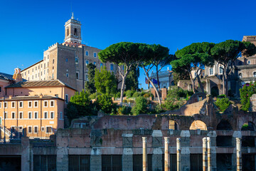 Wall Mural - Ruins of the Roman Forum in Rome, Italy