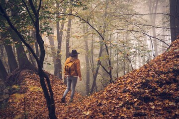 Wall Mural - hiker with backpack walking in fog at forest. hiking in autumn woodland