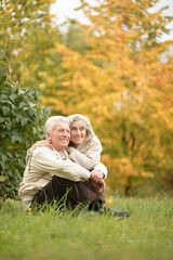 Poster - Beautiful senior couple hugging in the park