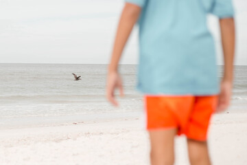 Wall Mural - Family spending time at a beach in florida Naples and Marco island south west florida beaches 