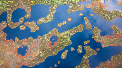 Sticker - Aerial top-down view to the complex natural peat bog pattern with the maze of bog lakes