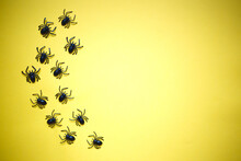 Many Spiders On A Yellow Background. Happy Halloween
