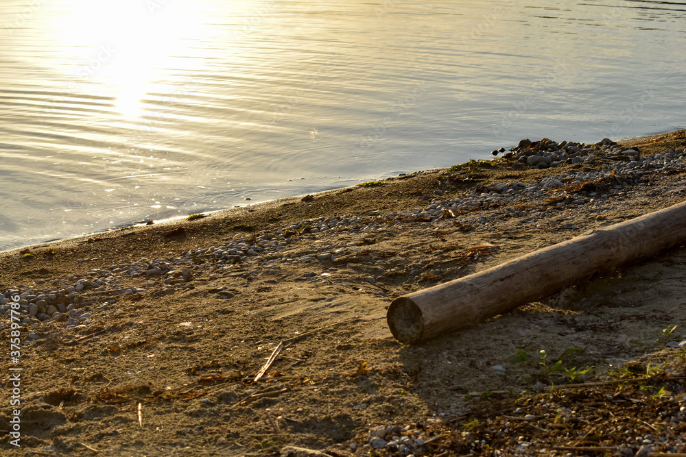 Gruba, drewniana belka na plaży nad jeziorem. - obrazy, fototapety, plakaty 