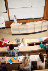 Wall Mural - Students in amphitheater on lecture, top view