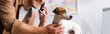 © LIGHTFIELD STUDIOS - cropped view of businessman touching jack russell terrier dog while talking on mobile phone in office