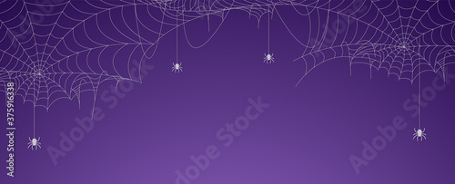 Fotografía Halloween spider web banner with spiders, cobweb background
