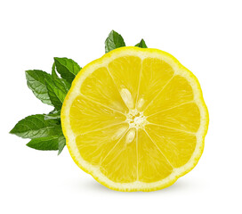 Wall Mural - juicy lemon and fresh mint on a white background