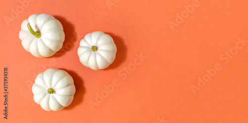 Cuadros en Lienzo Creative autumn composition