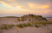 Grass Growing From Sand Dunes At Sunset