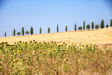 Sticker - Val d'Orcia