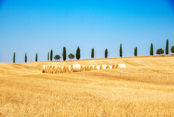 Sticker - Val d'Orcia