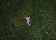 © Summer Murdock - Ariel view of a child laying in the grass with dandelions