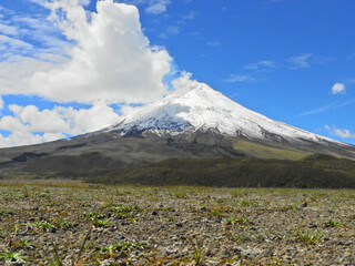 Wall Mural - Cotopaxi Volcano