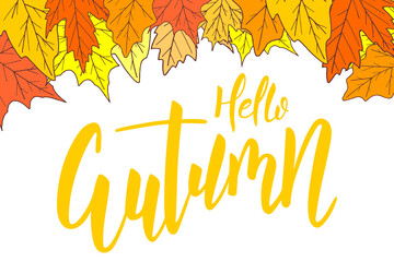 Wall Mural - Hello autumn brush hand lettering text isolated with leaves