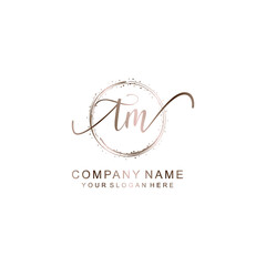 TM Initial handwriting logo template vector