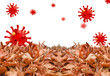 © sea and sun - virus covid-19 virus coronavirus autumn leaves text word isoted background - 3d rendering