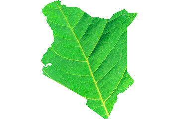 Map of Kenya in green leaf texture on a white isolated background. Ecology, climate concept, 3d illustration