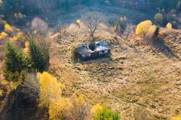 Wall Mural - Autumn foliage in the mountains.