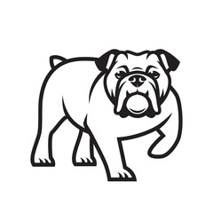 Wall Mural - English bulldog - isolated outlined vector illustration
