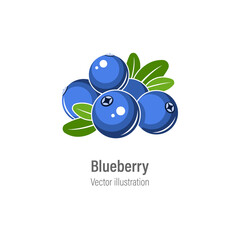 Wall Mural - Blueberry vector illustration. Blue berries with green leaves isolated on white background.