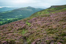 Stunning Landscape Image Of Bamford Edge In Peak District National Park During Late Summer With Heather In Full Blom