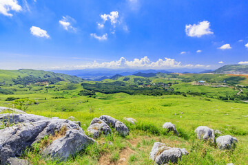 夏の平尾台　福岡県北九州市　Hiraodai in summer Fukuoka-ken Kitakyusyu city