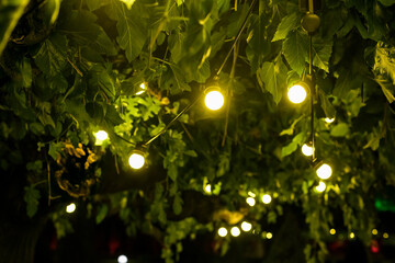 garland of light bulbs glowing with warm light suspended from tree branches in backyard garden with festive decor, closeup new year night party details, nobody