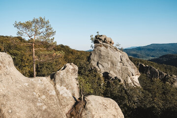 Wall Mural - landscape with high stone rock in a green forest under a blue sky on a background of mountains. copy