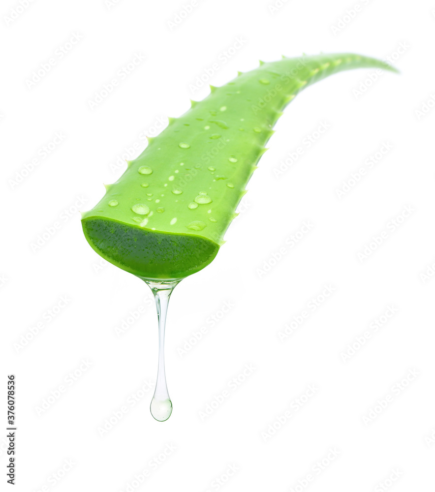 aloe vera licht wasser Aloe Vera main image 1