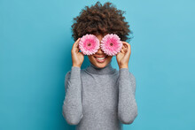 Portrait Of Beautiful Cheerful Woman With Happy Expression, Has Natural Beauty, Covers Eyes With Pink Gerbera Daisy, Dressed In Casual Grey Turtleneck Poses Against Blue Background. Lady Holds Flowers