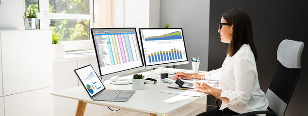 Poster - Analyst Working With Spreadsheet Business Data