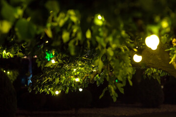 Wall Mural - garland of light bulbs glowing with warm light suspended from tree branches with green leaves in backyard garden with festive decor, closeup holiday night party details, nobody