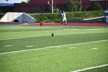 Wall Mural - Football Field