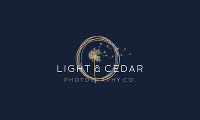 Wall Mural - Light And Leaf Beauty Vector Logo Design Inspirations