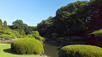 Wall Mural - 東京都新宿区にある日本庭園の景色