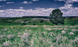Panoramic landscape of central Russia agricultural countryside with hills and country road. Summer landscape of the Samara valleys. Russian countryside.