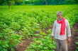 © Niks Ads - Indian farmer at cotton field