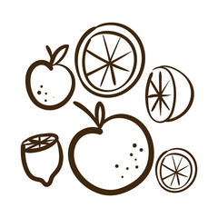 Poster - set citrus fruit line style icon