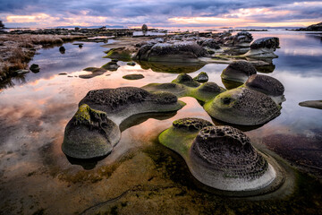 heron rocks covered in mosses surrounded by the sea in the hornby island, canada