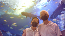 Underwater Tunnel Aquarium With Asian Senior Elder Couple Wear Mask Dating Have Fun Happy Together
