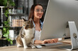 © New Africa - Young woman with cat working on computer at table, focus on animal. Home office concept