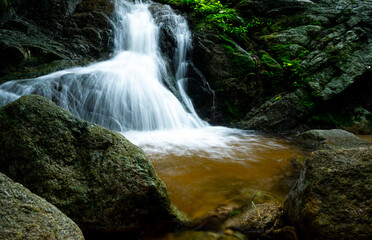 Wall Mural - beautiful waterfall in jungle. waterfall in tropical forest with green tree and sunlight. waterfall 